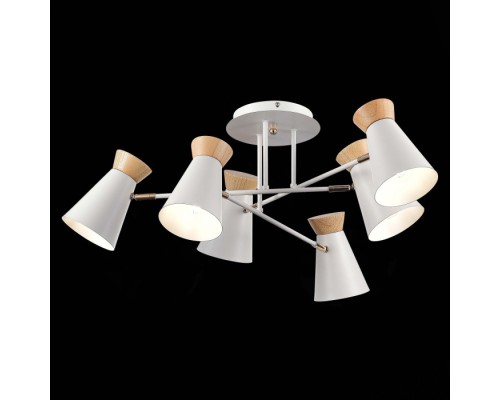 Потолочная люстра Alfeo SLE1252-502-06 Evoluce