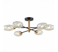 Потолочная люстра Gloa SLE155502-06 Evoluce