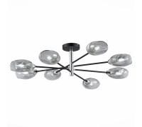Потолочная люстра Gloa SLE155512-08 Evoluce