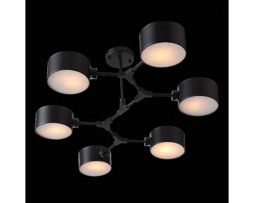 Потолочная люстра Gimento SLE183402-06 Evoluce