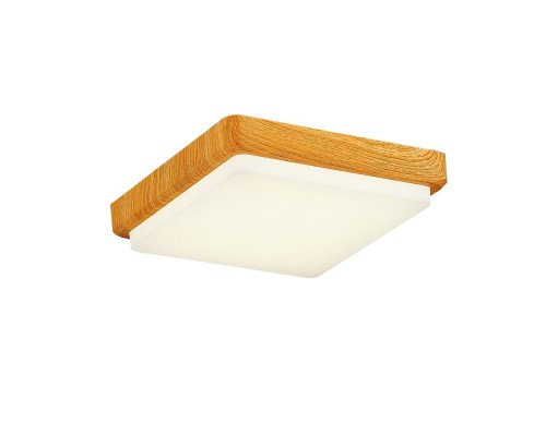 Потолочный светильник Taddio SLE200202-01 Evoluce