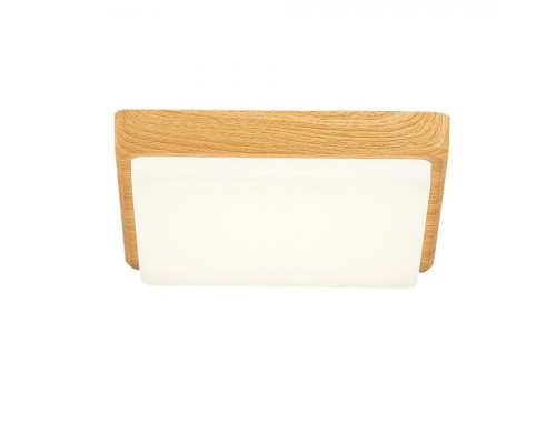 Потолочный светильник Taddio SLE200202-01 Evoluce