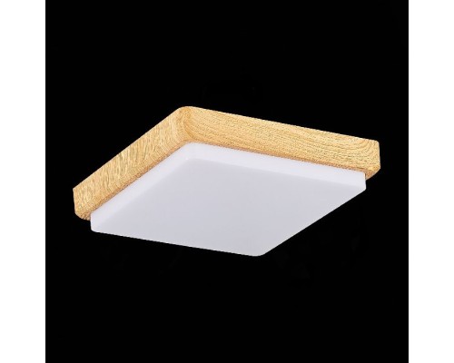 Потолочный светильник Taddio SLE200202-01 Evoluce