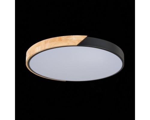 Потолочный светильник Festa SLE200942-01 Evoluce