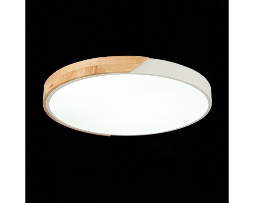 Потолочный светильник Festa SLE200952-01 Evoluce