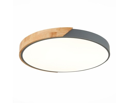 Потолочный светильник Festa SLE200972-01 Evoluce