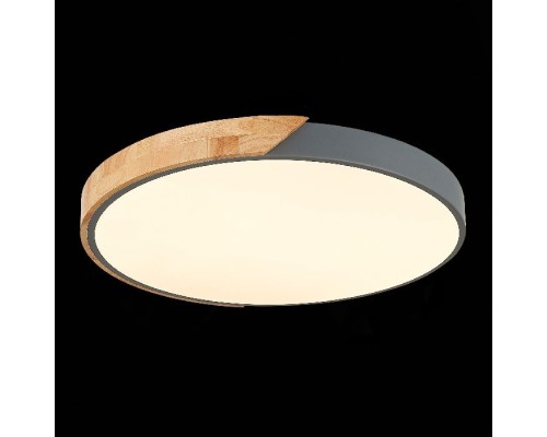 Потолочный светильник Festa SLE200972-01 Evoluce