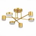 Потолочная люстра Nobel SLE201022-06 Evoluce