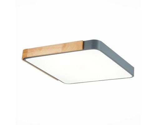 Потолочный светильник Festa SLE201272-01 Evoluce