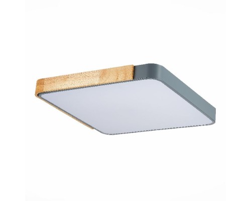 Потолочный светильник Festa SLE201272-01 Evoluce