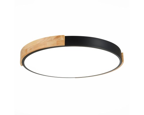 Потолочный светильник Delia SLE201342-01 Evoluce