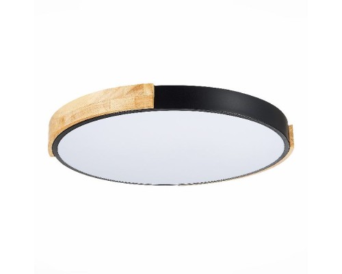 Потолочный светильник Delia SLE201342-01 Evoluce