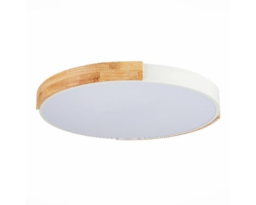 Потолочный светильник Delia SLE201352-01 Evoluce