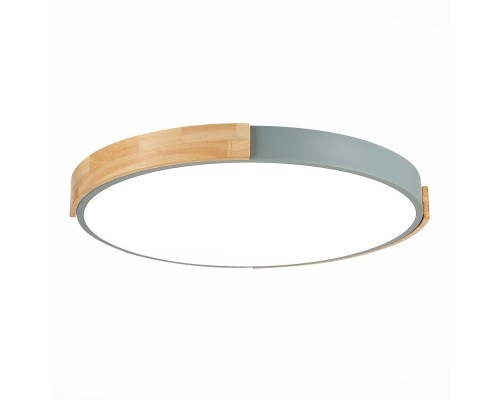 Потолочный светильник Delia SLE201372-01 Evoluce