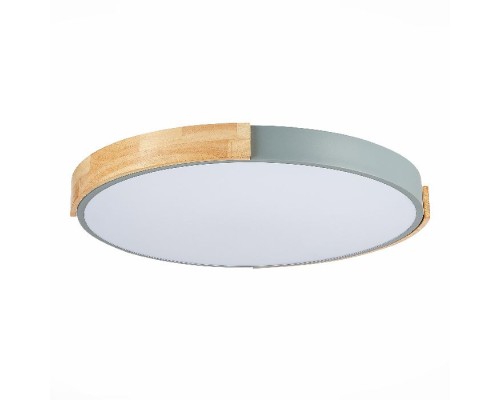 Потолочный светильник Delia SLE201372-01 Evoluce