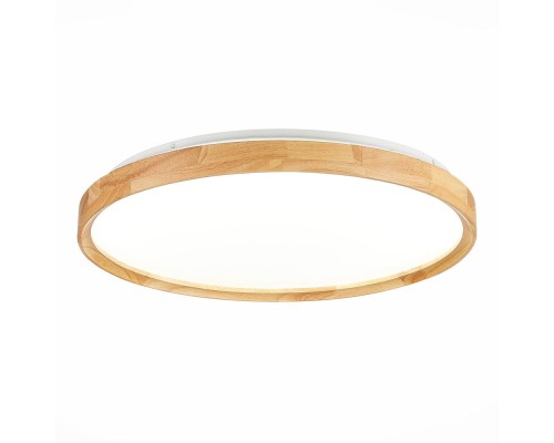 Потолочный светильник Delia SLE201382-01 Evoluce