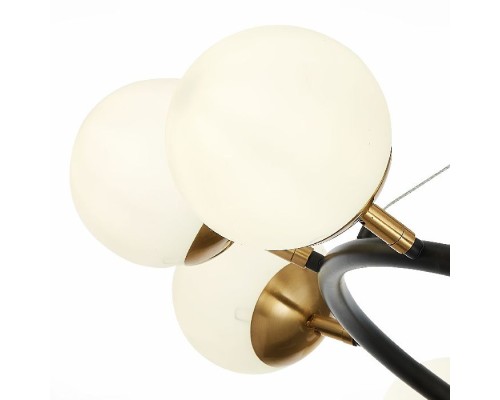 Подвесная люстра Forli SLE220403-10 Evoluce