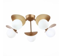 Потолочная люстра Bolzano SLE220502-05 Evoluce