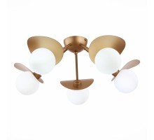 Потолочная люстра Bolzano SLE220502-05 Evoluce