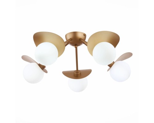 Потолочная люстра Bolzano SLE220502-05 Evoluce