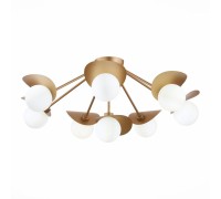 Потолочная люстра Bolzano SLE220502-08 Evoluce