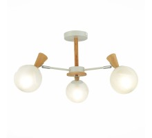 Потолочная люстра Catania SLE220702-03 Evoluce