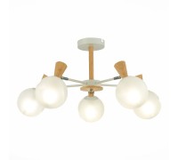 Потолочная люстра Catania SLE220702-05 Evoluce