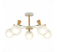 Потолочная люстра Catania SLE220702-05 Evoluce