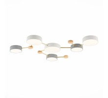 Потолочная люстра Dossena SLE600102-06 Evoluce