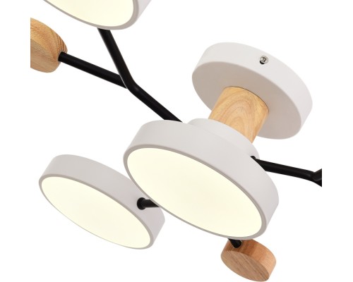 Потолочная люстра Faema SLE6006-502-04 Evoluce