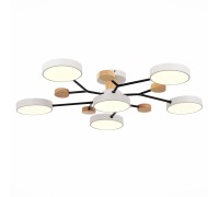 Потолочная люстра Faema SLE6006-502-06 Evoluce