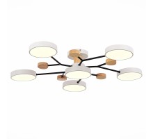 Потолочная люстра Faema SLE6006-502-06 Evoluce