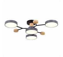 Потолочная люстра Faema SLE6006-702-04 Evoluce