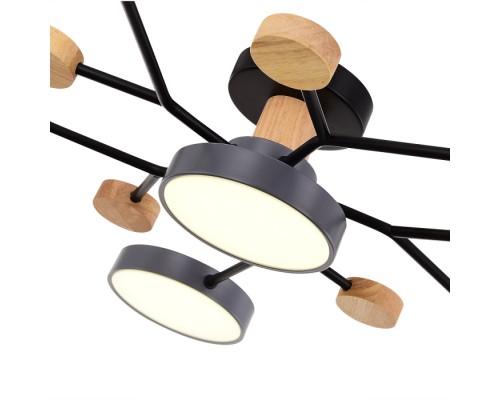 Потолочная люстра Faema SLE6006-702-06 Evoluce