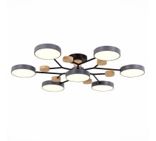 Потолочная люстра Faema SLE6006-702-07 Evoluce
