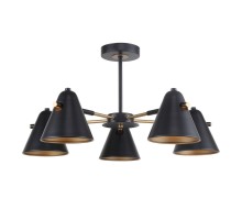 Потолочная люстра Rigor 2844-5P F-Promo