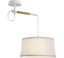 Настенно-потолочный светильник Eureka 3005-1P F-Promo