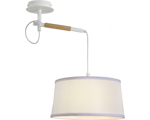 Настенно-потолочный светильник Eureka 3005-1P F-Promo