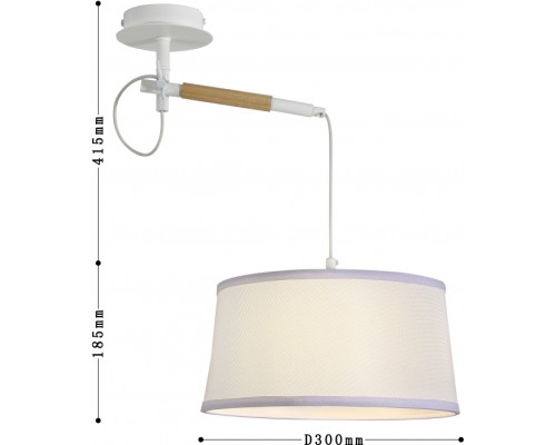 Настенно-потолочный светильник Eureka 3005-1P F-Promo