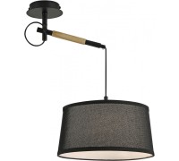 Настенно-потолочный светильник Eureka 3006-1P F-Promo