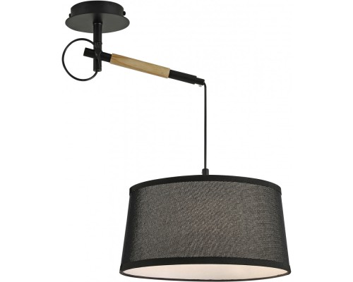 Настенно-потолочный светильник Eureka 3006-1P F-Promo