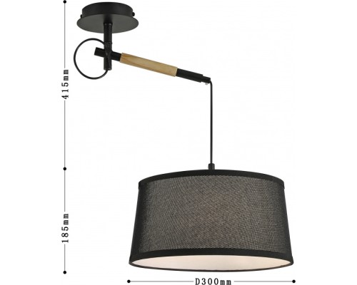 Настенно-потолочный светильник Eureka 3006-1P F-Promo