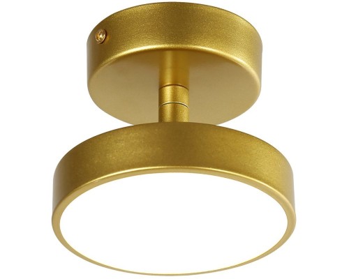 Потолочный светильник Atma 3059-1P F-Promo