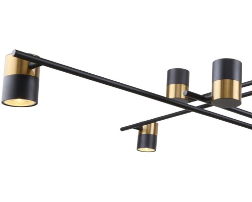 Потолочная люстра Chart 3092-10P F-Promo