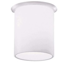 Точечный светильник Mono D14F1701 Fabbian