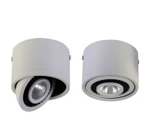 Точечный светильник Reflector 1776-1C Favourite