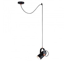 Подвесной светильник Ampolla 2007-1P Favourite