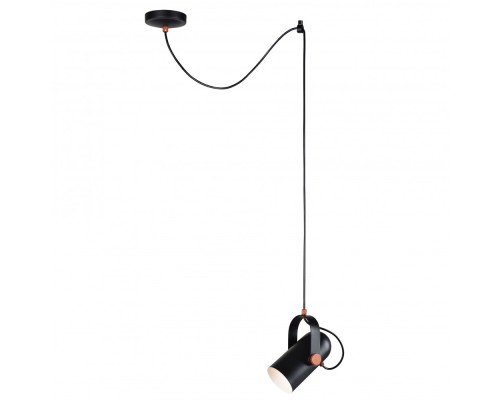 Подвесной светильник Ampolla 2007-1P Favourite