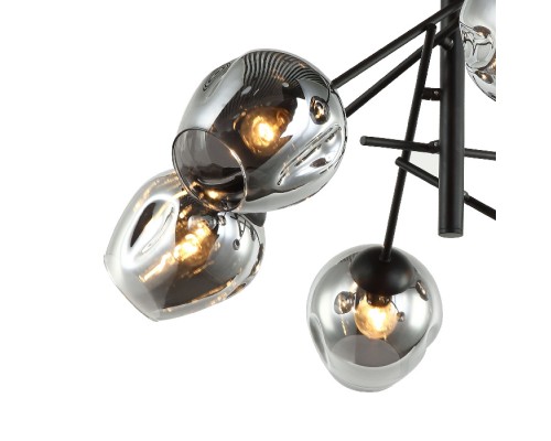 Подвесная люстра Traube 2359-6P Favourite