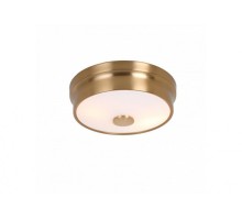 Потолочный светильник Pannikin 2375-2C Favourite